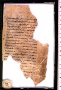 Digitales Turfan-Archiv https://turfan.bbaw.de/dta/ ترجمه: آمد نوروز و شادی نو.آمد نوروز بیا شادی نو. خوراک زندگانرا مهیا کن، پر از شادی