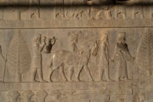 پلکان آپادانا، عکس از سایت موزه پرسپولیس