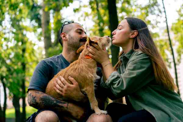 ۲ بهمن بهمن روز، جشن بهمنگان