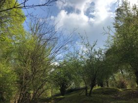 مازندران-بندپی